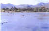 rio.jpg